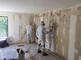 Why You Should Choose Our Mold Remediation Services in Weldon, CA